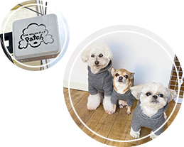 看板と看板犬たち